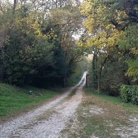 Venzaghetto